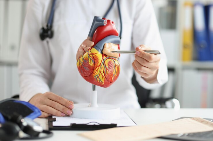 Cardiology & Cardiac Surgery